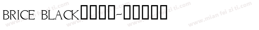 brice black字体下载字体转换